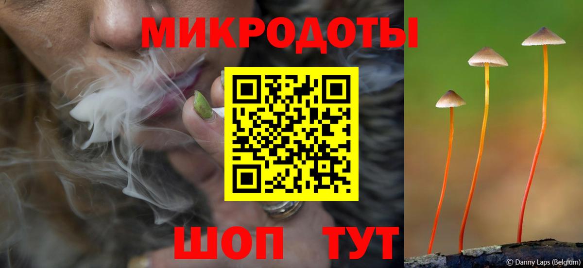 Бердск  Галлюциногенные грибы ЛСД  Галлюциногенные грибы мицелий  Вход с VPN 